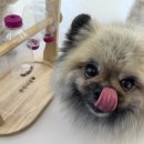 몽린이집 이미지