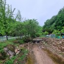 대야산 오토 캠핑장 이미지