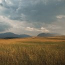 블루조이(BLUE JOY) 이미지