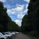 숲속빨간벽돌집 | 제주 동부 스냅명소 ‘비밀의 숲’과 재오픈한 구좌 핫플 카페 ‘풍림다방’