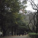 서울대학교 농업생명과학대학 이미지