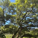 청길강변로 | 무주감성카페 뷰맛집 윌로우파크커피 내돈내산 솔직후기