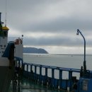 매화농원 이미지