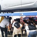 대한자동차정비 이미지