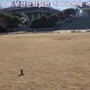 잔디공원 이미지
