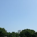 장미화원 Daum카페