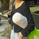 다뽑아방 이미지