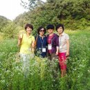 산수펜션 이미지