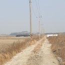 동암 농로 이미지