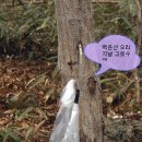 예향한방병원 이미지