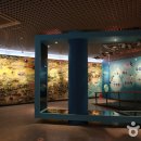 신안갯벌박물관 이미지