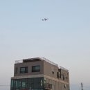 [제주] 내돈내산 혼술 혼밥 가능한 엘피바 분위기 좋은 이호테우 해변 몽돌 해변 술집 '내도음악상가...
