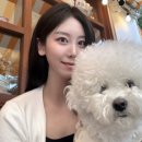 연남동 애견동반 카페 보따리상인회 후기｜연남동 데이트코스 강아지랑