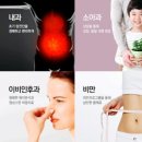 성화마루의원 이미지