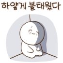 초록마켓 이미지