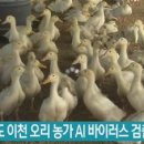 정진용농장 쿠키뉴스