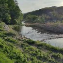 와이글램핑 이미지