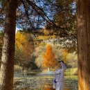 지베르니펜션2 이미지