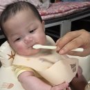 성준오리 | [6개월 초기이유식] 180일, 6개월에 시작한 이유식 식단표 총정리｜이유식섭취량·준비물까지