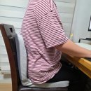[일락 뉴핏스테이] 장시간 앉아도 편했던 기능성방석, 재택근무 필수템 후기