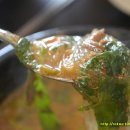 코리안덕 이미지