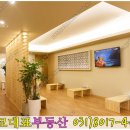 면역공방수지점 이미지