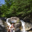 백운계곡 이미지