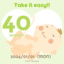 [임신 40주차] 꽉채운 40주 자연진통 기다리기, 날마다 가진통, 임산부 왁싱, 이슬 비침, 우체국공익...