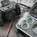 데일리풀 이미지