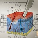 채움스튜디오smp 이미지
