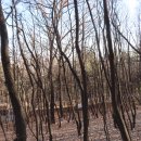 우장산둘레길 이미지