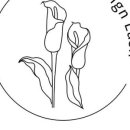 디자인래쉬 인천검단점 이미지