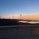 금등스테이199 이미지