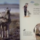 파란나라파랑별 이미지