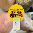 하경기업 이미지