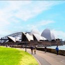 거룩한 것을 개나 돼지에게 주지 말라 이미지