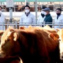 명성축산 이미지