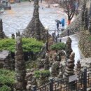 전북인삼협동조합 이미지