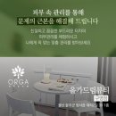 올가드림뷰티 구영점