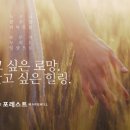 서광리-8 이미지