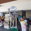 발리마린키즈 이미지