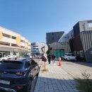 제주집 | 충무공동 점심맛집, 현지인 단골 또간집 압구정제주집 내돈내산 후기