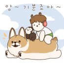 청년피자제주외도점 이미지