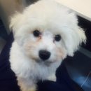 구미 JM 동물 메디컬 센터 이미지