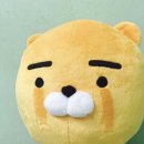 동산포 캠핑장 이미지