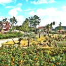 중문리조트 이미지