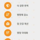 농업회사법인 주식회사 정봉벌꿀 Daum카페
