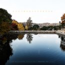 바라보다 이미지