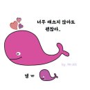 콜린느 이미지