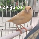 부천자연생태박물관 티스토리